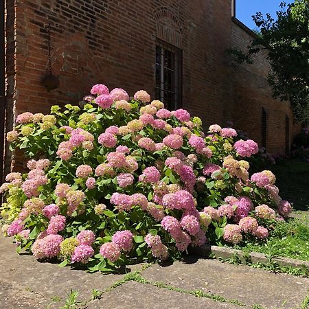Palazzo Sabbioni Suite Del Conte Elegant Suite In Old Monastery City Center Ferrara Exterior photo